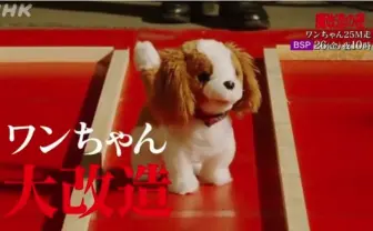 NHK「魔改造の夜 ワンちゃん25M走」 走らせる必要ある？ とかツッコんじゃダメ