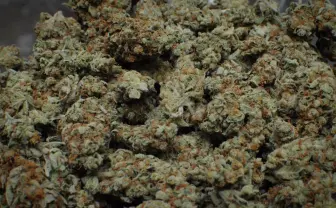 世界最大のクリエイティブの祭典「SXSW」に、「大麻」カテゴリが新設