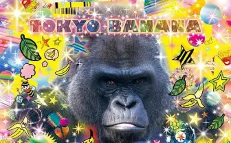 異色ラッパー あっこゴリラ初アルバムに狐火、エリボンericaら参加