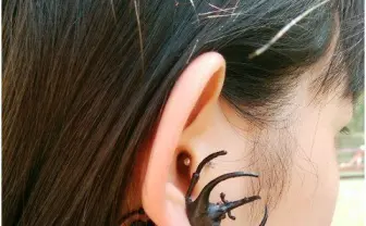 街の視線を一気にあつめる！ リアルすぎるカブトムシピアスに驚愕