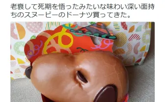「老衰で死期を悟ったスヌーピー」に人気声優も反応!? ミスドのドーナツ画像が話題に