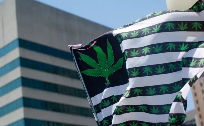 大麻産業の1年から2019年を読む　日本人が知らない世界の合法化事情
