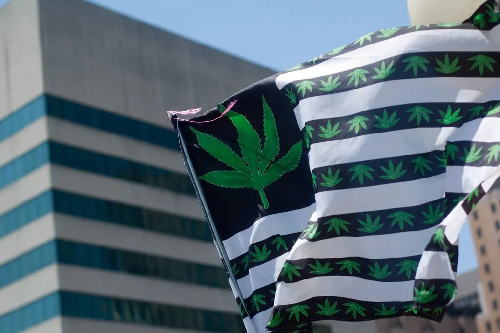 大麻産業の1年から2019年を読む　日本人が知らない世界の合法化事情
