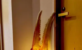 正体はでっかいカニのハサミ! 3度見しちゃう照明が最高にイカしてる