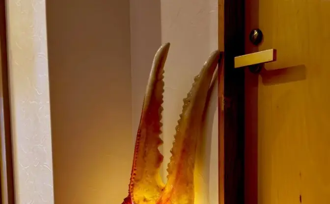 正体はでっかいカニのハサミ！ 3度見しちゃう照明が最高にイカしてる