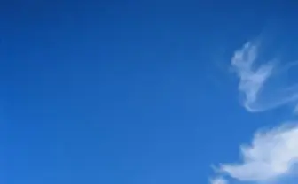 ねこねこねこ！ ねこだらけの写真展「岩合光昭写真展 ねこ」開催！