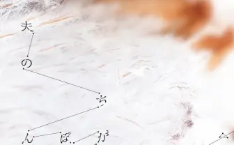 衝撃の私小説『夫のちんぽが入らない』実写化および漫画化が決定！