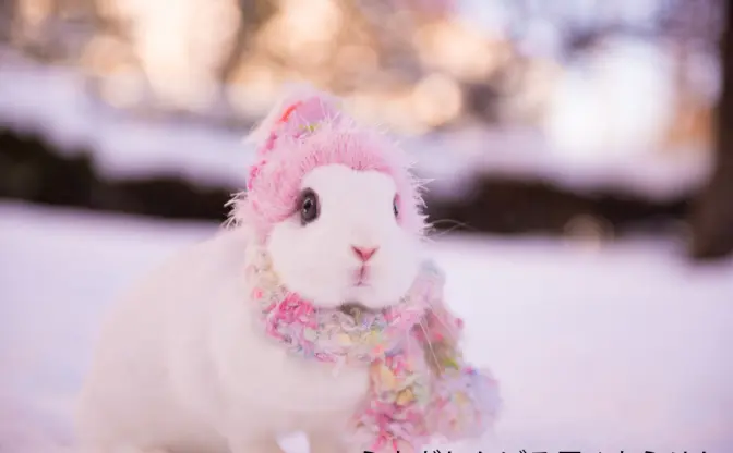 冬のうさぎでモフモフ🐇 新橋のクリスマスに「うさぎしんぼる展」