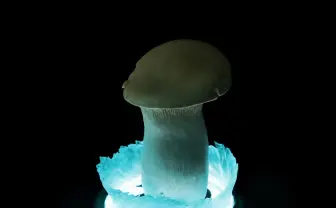 バトルオーラを生み出す卓上ライト　デスクが神秘的な戦いの舞台に