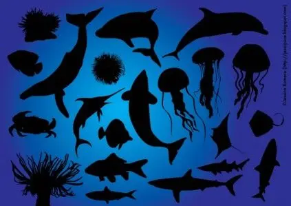 魚介系ドメイン「.fish」登場！ 将来系ドメイン「.vision」も