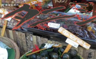 タニシの専門誌!?  50年の歴史を持つ『月刊タニシ』が無料配信