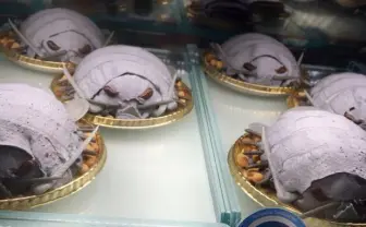 ダイオウグソクムシをケーキで完全再現　しょこたんも「キモウマス！」