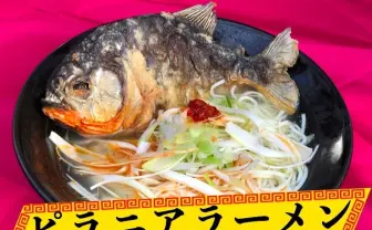 史上最恐のピラニアラーメン爆誕　約2000匹を使って限定1000杯提供