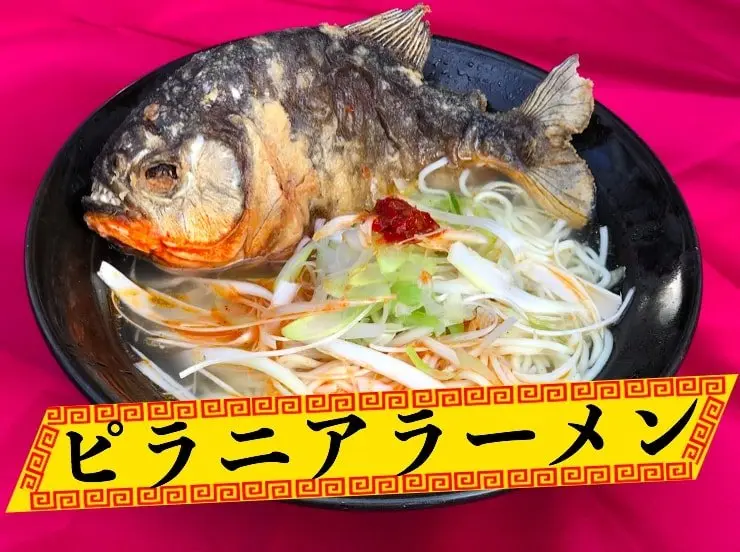 史上最恐のピラニアラーメン爆誕　約2000匹を使って限定1000杯提供