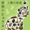 「世界のヒョウタン展-人類の原器-」ポスター／画像提供:国立科学博物館