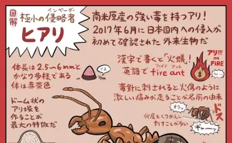 「ストップ!! ヒアリくん!」生態と注意点まとめた図解が12万RT　めっちゃわかりやすい！