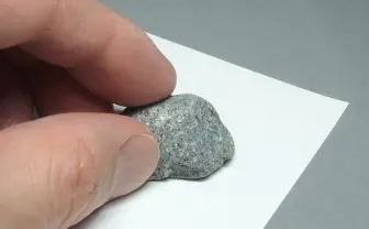 小石をめくるとその裏には……!? 着眼点に脱帽、かわいい「石のスタンプ」