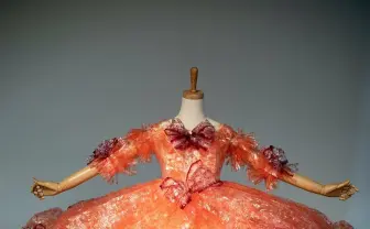 使ったのは〇〇〇〇個の「ハッピーターン」 愛が半端じゃない特製ドレス