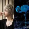 コラボが発表されたまふまふさんとsyudouさん