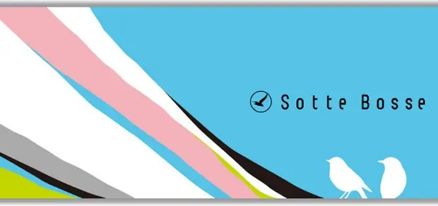 カバーブームの火付け役、Sotte Bosseが4年ぶりに新作発売