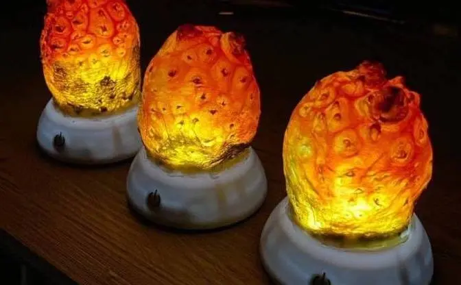 ヤバいやつが生まれそう…ホヤランプの「ナニカの卵」感がすごい
