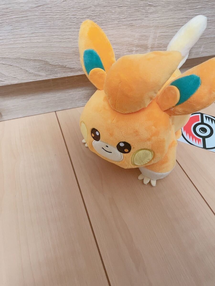 ジャック・オ・蘭たんが元ネタ ネットミーム「パモさんwatch」で広がるぬい撮り.jpeg