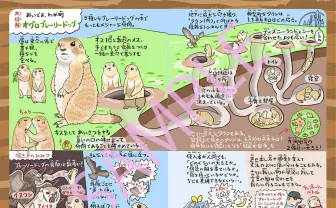 生き物マニアのイラストレーターによる図解『ゆかいないきもの超図鑑』