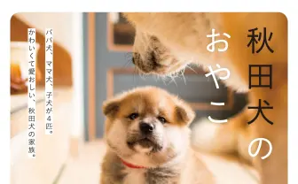 フランスで生まれた秋田犬の写真集 尊すぎる4兄弟に癒される