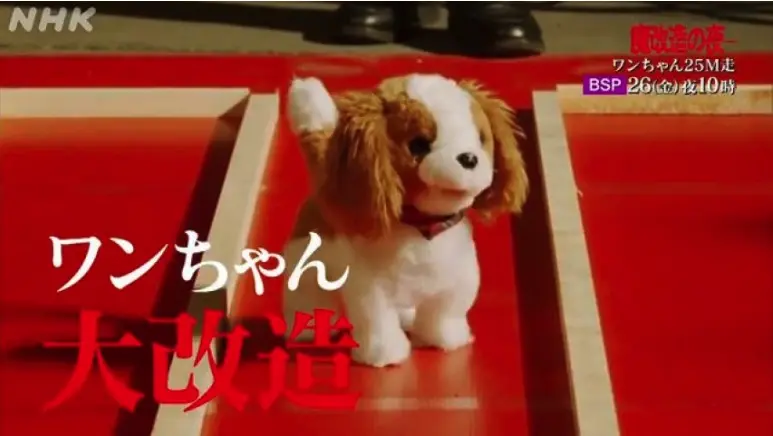 NHK「魔改造の夜 ワンちゃん25M走」 走らせる必要ある？ とかツッコんじゃダメ.jpg