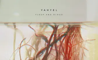 yahyel | official web site
