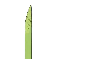 『ポケモン剣盾』新ポケモン「ネギガナイト」 カモネギ進化にファン祝福