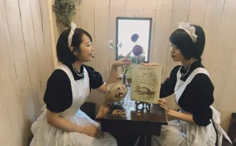 秋葉原のメイド喫茶「シャッツキステ」11月に閉店 14年の歴史に幕