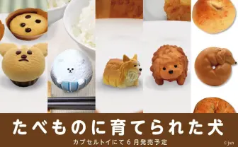 コーギーはかつてパンだった 「食べものに育てられた犬」が至高の可愛さ