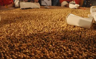 東京の奇祭「すごい豆まき2014」で1.5トンの豆をまいてきた！