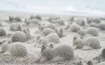 無限ネコ製造機「ネコカップ」発売 “猫のある生活”の虜になりそう