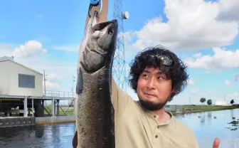 生物ライター平坂寛が「情熱大陸」に 珍生物を獲って食べる!