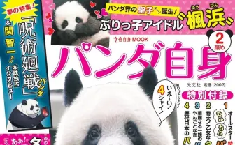 雑誌『パンダ自身』で『呪術廻戦』パンダ特集　世界のスターパンダと肩を並べる
