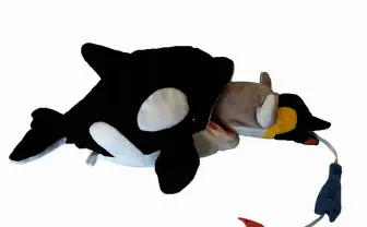 ぬいぐるみで学ぶ命のサイクル「センスオブワンダー」 食物連鎖がテーマ