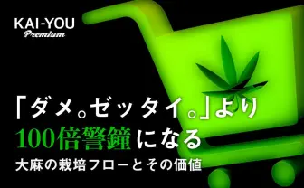 その大麻の価値(と代償)、知ってますか? 半グレも心を痛める現実