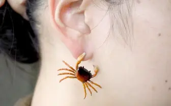 「耳、カニに挟まれてますよ」って言いたい! サワガニのピアスが痛そうで可愛い