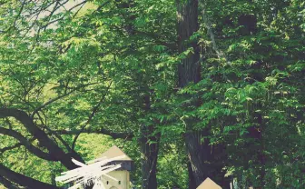 ヨルシカ、2年ぶりワンマンツアー開催 アルバム『エルマ』で先行予約