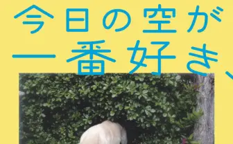 ジャルジャル福徳が初小説を刊行 “私小説“的恋愛小説