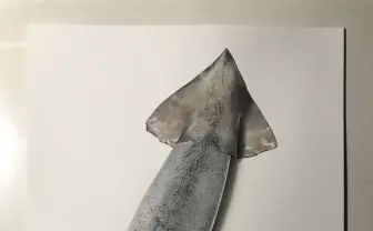 スルメにして炙りたい躍動感あるイカくん、実写ではなくイラストで驚愕