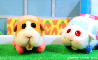 『PUI PUI モルカー』の可愛さ、絵本になる 今後キャラブックも刊行