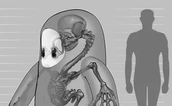 『Fall Guys』の骨格ヤバい あいつらの“中身“こうなってたのか…