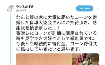 漫画家 やしろあずきの三角コーンは世の中を幸せにするツールだった