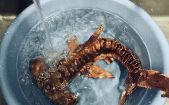 針金造形という深世界　動物も『エヴァ』も再現する凄い技術