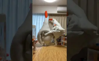 ニワトリの親子がしばき合う！ きぐるみ母さんのショート動画が急上昇