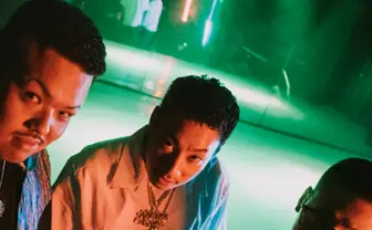 舐達麻の生態系