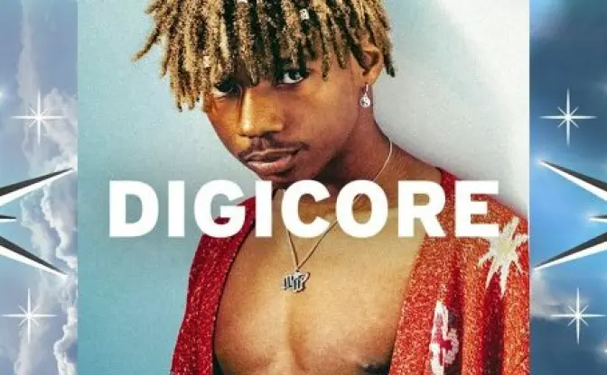 【コラム】What is "digicore"?